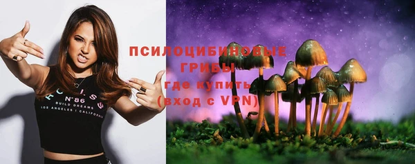 тгк Беломорск