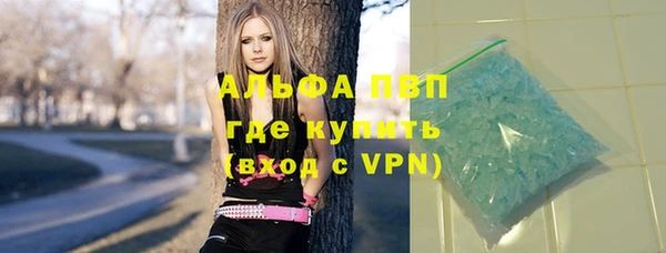 дживик Богородицк