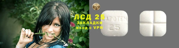 гашик Белоозёрский