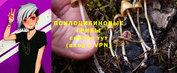 тгк Беломорск