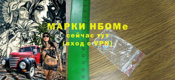 хмурый Богородск