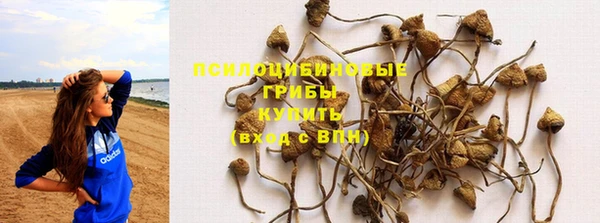 кристаллы Богданович
