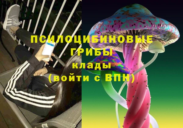 хмурый Богородск
