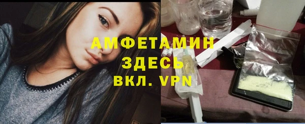 дживик Богородицк