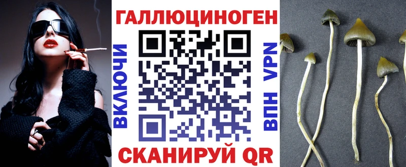 Псилоцибиновые грибы MAGIC MUSHROOMS  Болгар 
